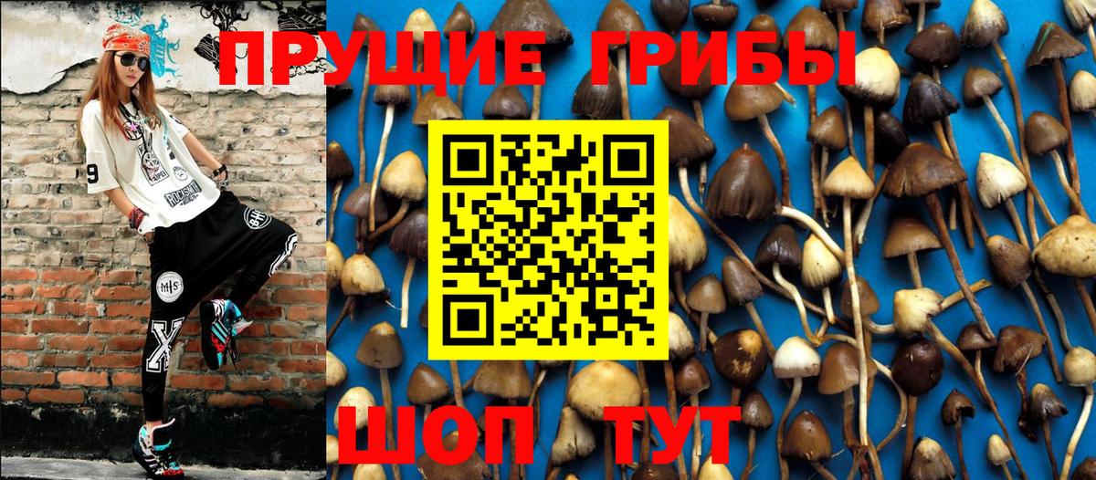 Псилоцибиновые грибы мухоморы  Галлюциногенные грибы Psilocybine cubensis  Вход с VPN  как найти наркотики  Иваново 